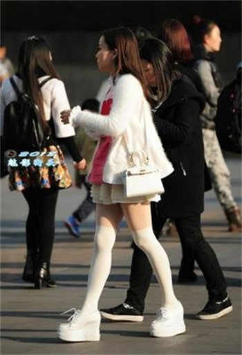 又全又免费的看书软件