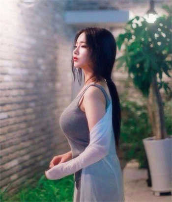 沈樵12部百度云资源