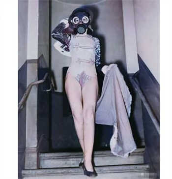 小蝌蚪安卓版本下载