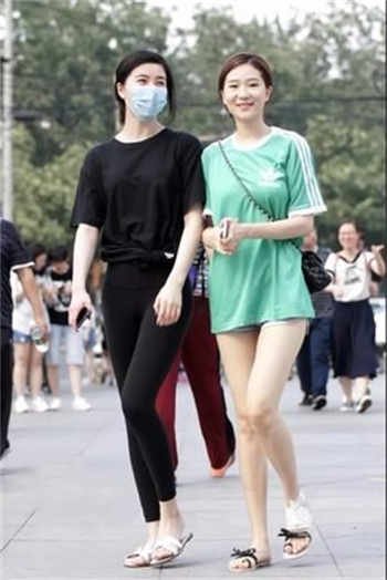 最新版夜律直播下载